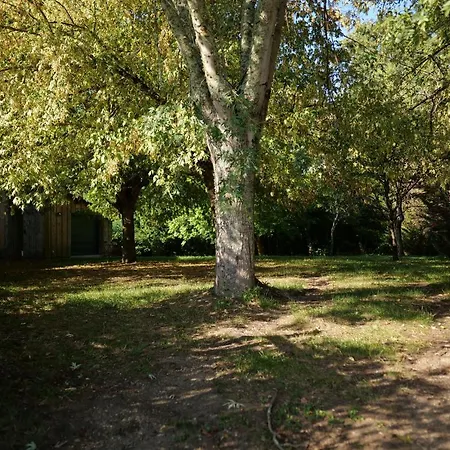 Chalet En Pleine Nature Pomerol Exterior foto